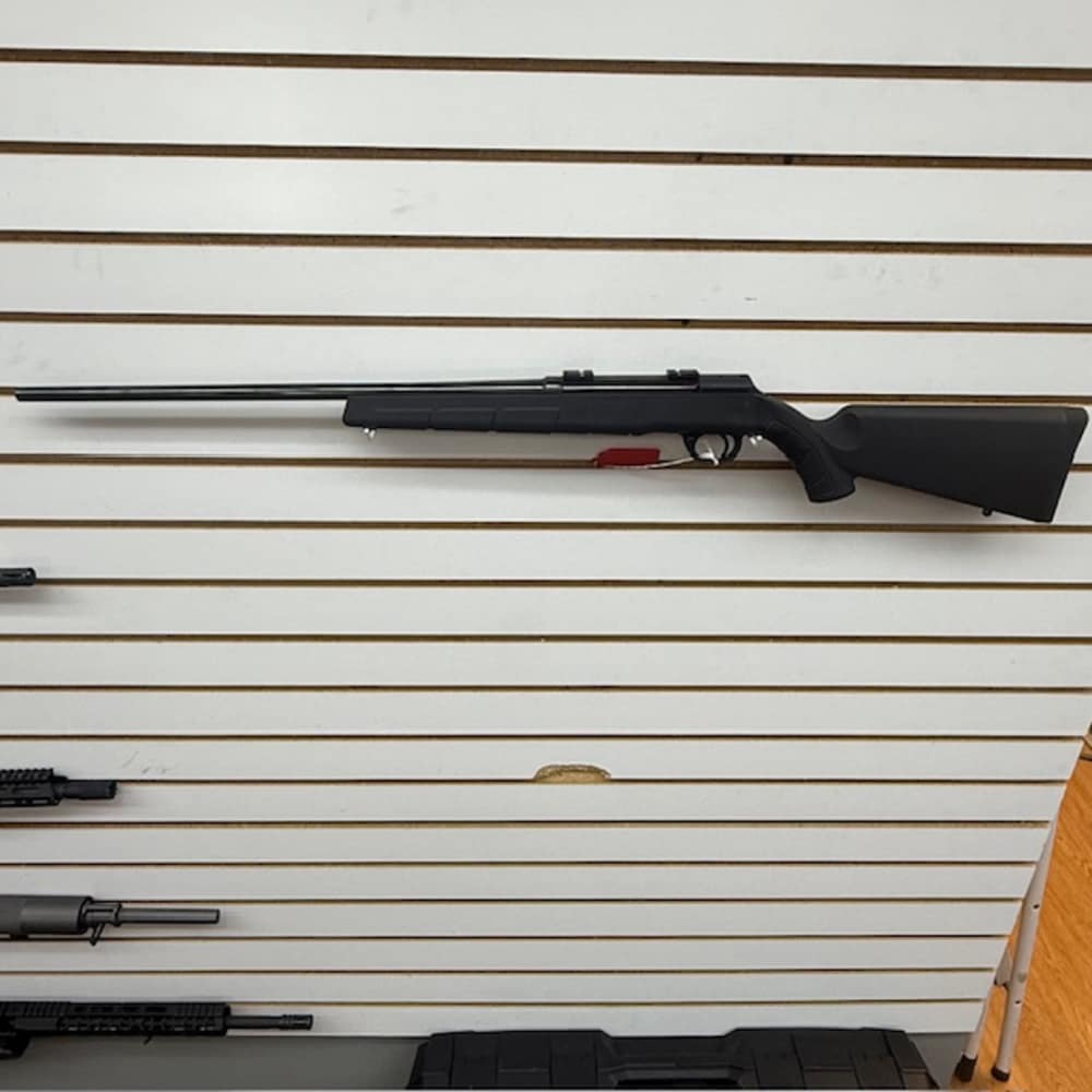 SAVAGE ARMS A17 17HMR -img-1