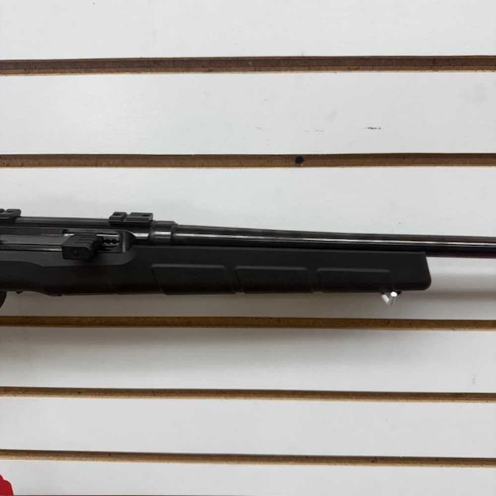 SAVAGE ARMS A17 17HMR -img-8