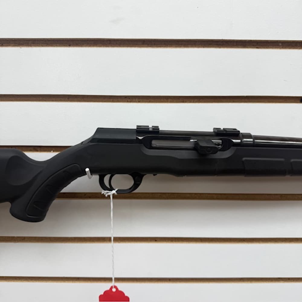 SAVAGE ARMS A17 17HMR -img-7