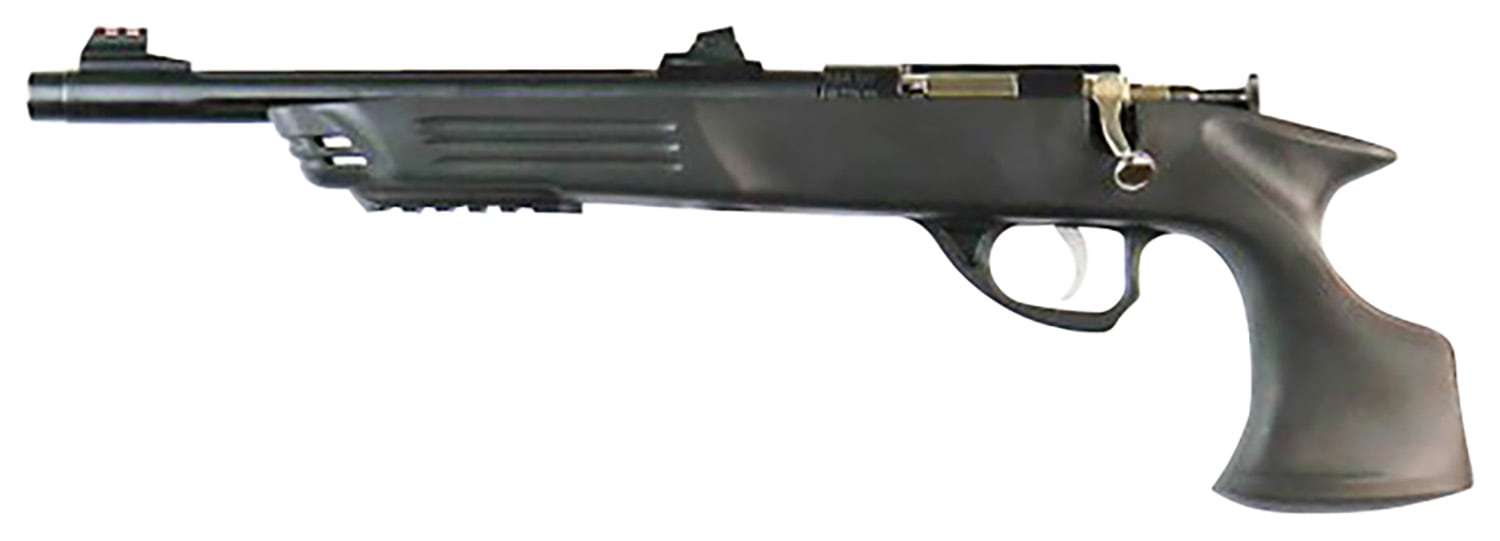 Davey Crickett KSA793 .22 WMR Single Shot Pistol - Blued Steel Barrel-img-0