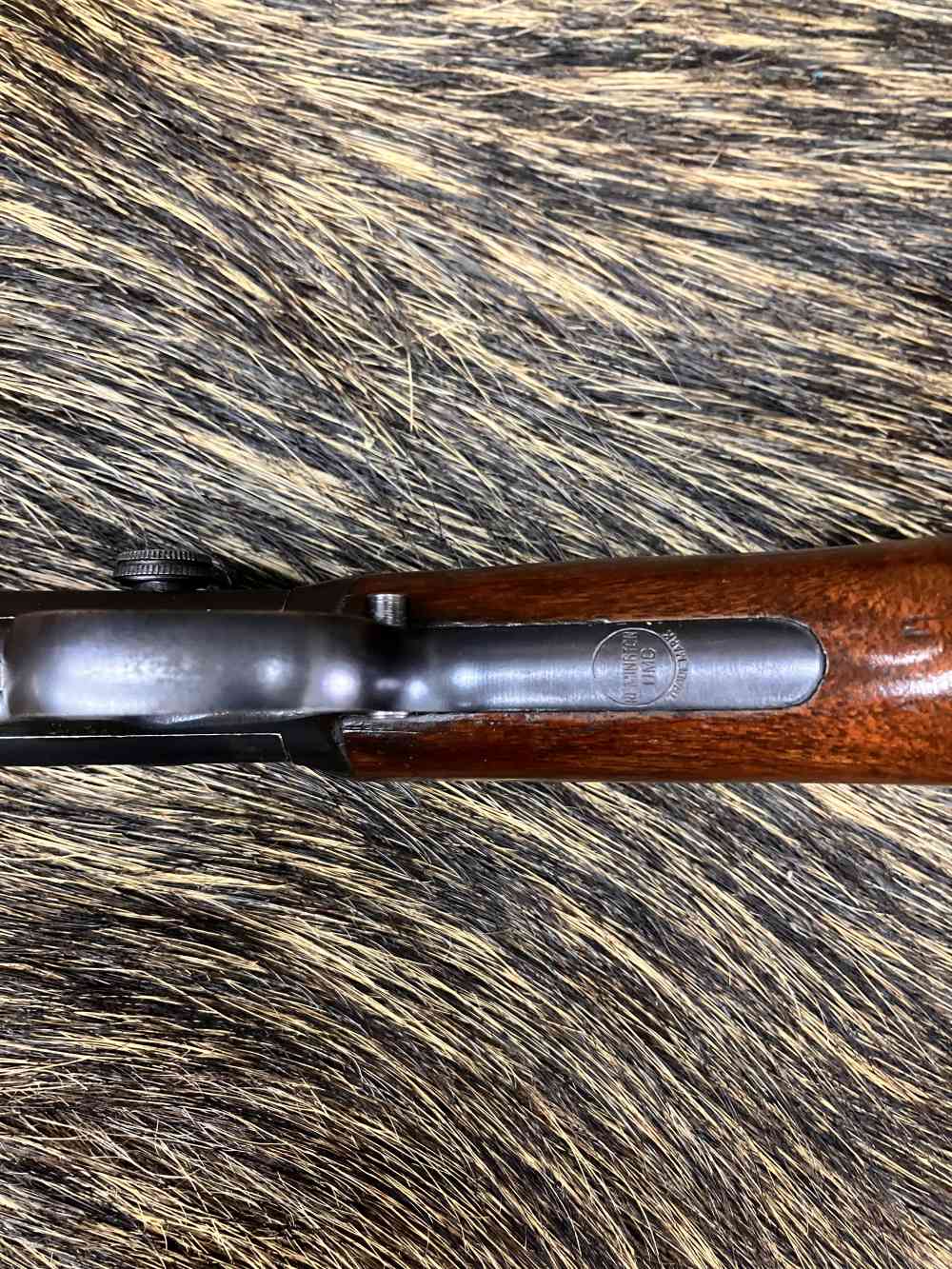 1923 Remington model 25 32-20 Win 1st year and 1st month of production-img-17