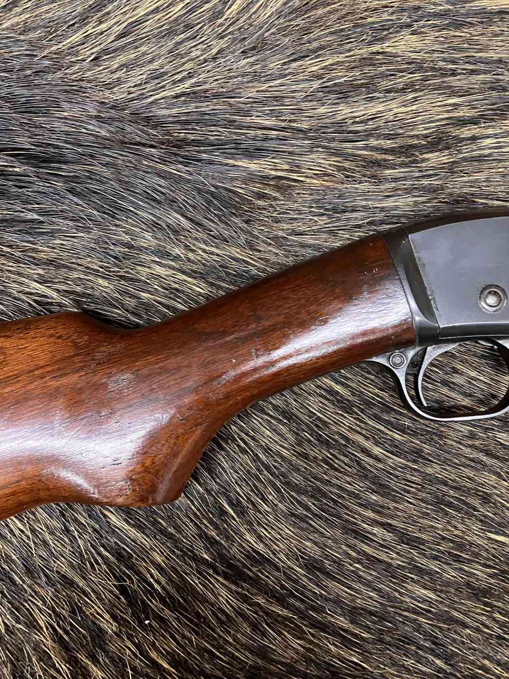 1923 Remington model 25 32-20 Win 1st year and 1st month of production-img-2