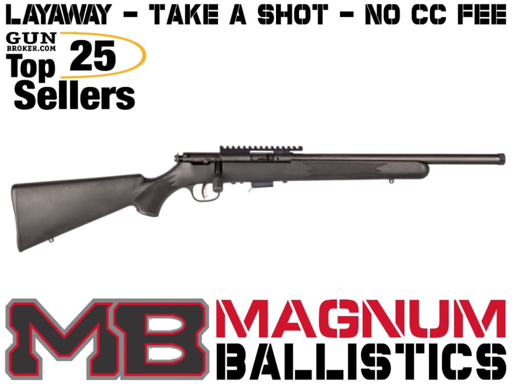 Savage 93 FV-SR 22 WMR 062654932076-img-0