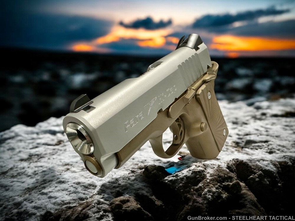 Para Ordnance Warthog  P10 Hawg 9 Custom 9MM P12 P13-img-44