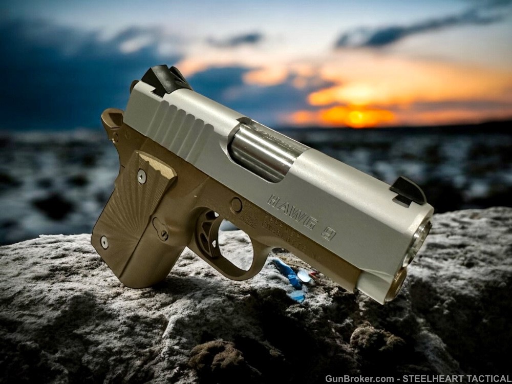 Para Ordnance Warthog  P10 Hawg 9 Custom 9MM P12 P13-img-31