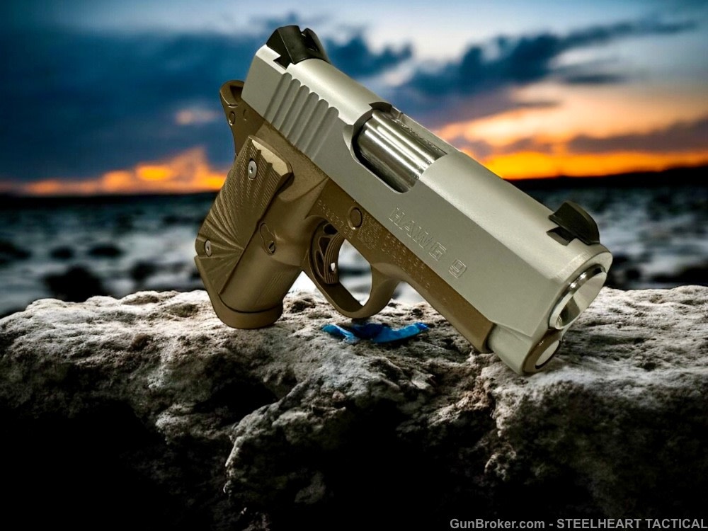 Para Ordnance Warthog  P10 Hawg 9 Custom 9MM P12 P13-img-7