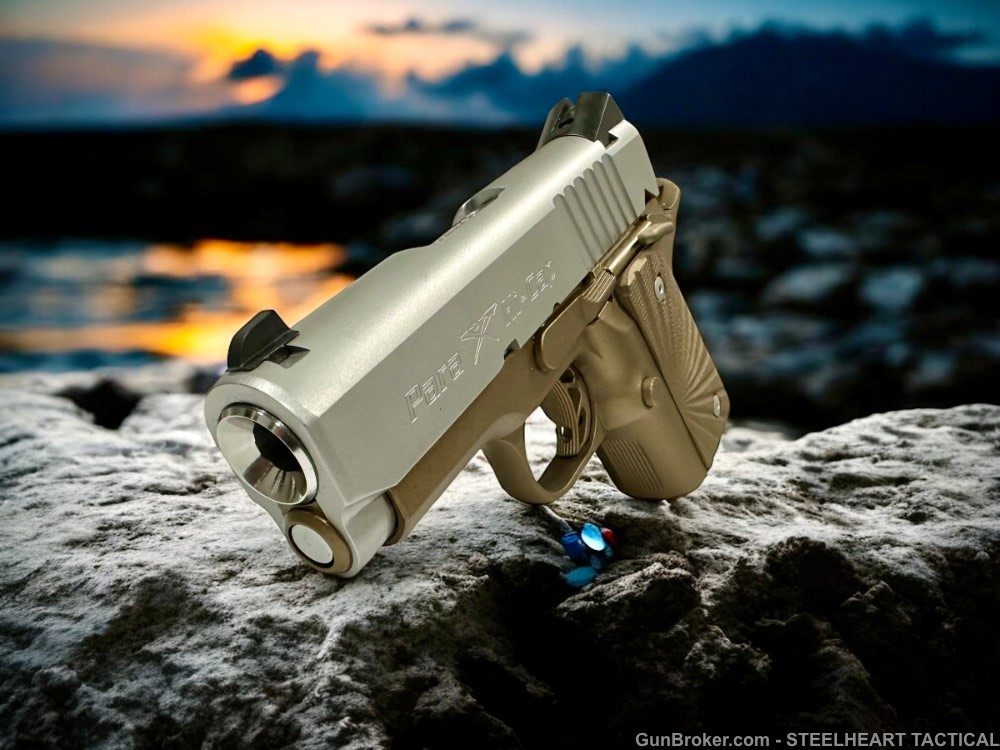 Para Ordnance Warthog  P10 Hawg 9 Custom 9MM P12 P13-img-20
