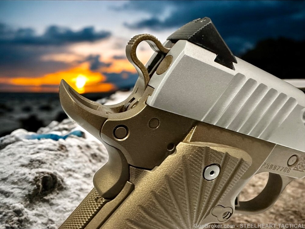Para Ordnance Warthog  P10 Hawg 9 Custom 9MM P12 P13-img-10