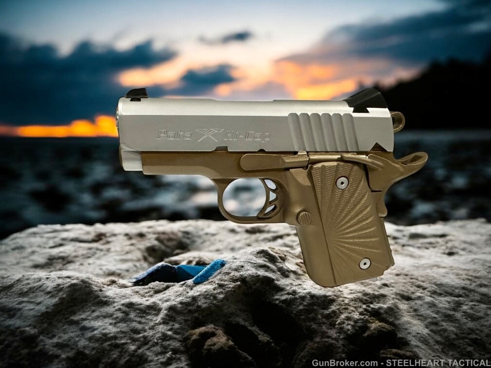 Para Ordnance Warthog  P10 Hawg 9 Custom 9MM P12 P13-img-39
