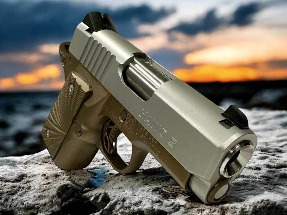 Para Ordnance Warthog  P10 Hawg 9 Custom 9MM P12 P13-img-0