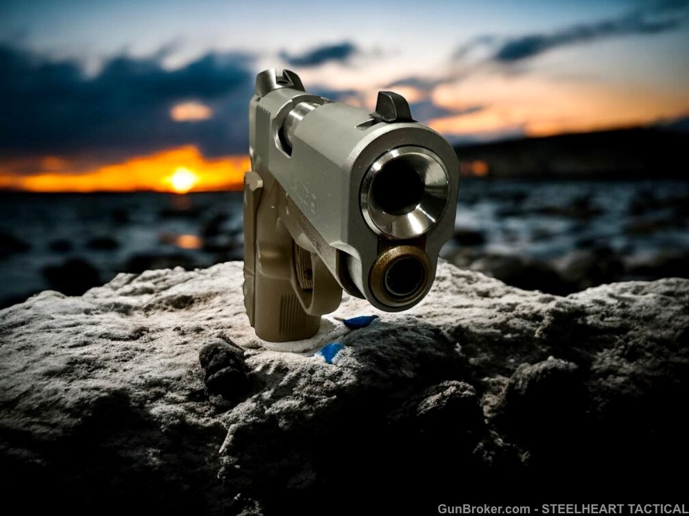 Para Ordnance Warthog  P10 Hawg 9 Custom 9MM P12 P13-img-35