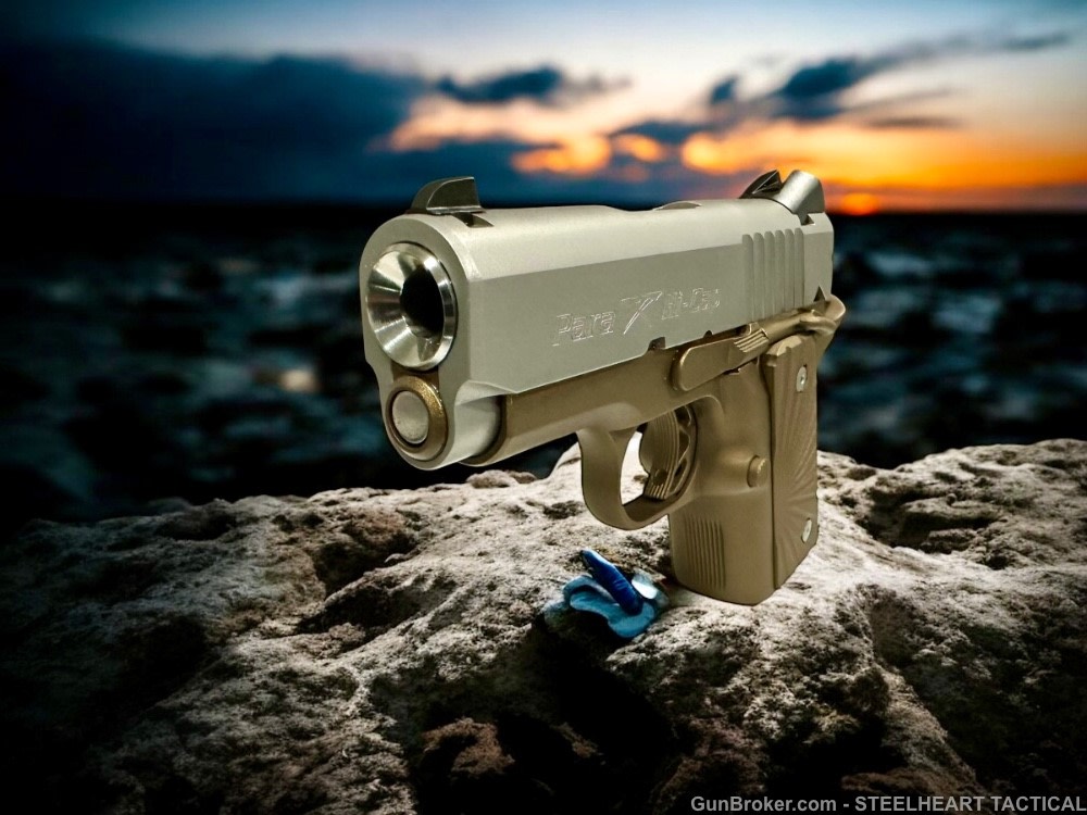 Para Ordnance Warthog  P10 Hawg 9 Custom 9MM P12 P13-img-40