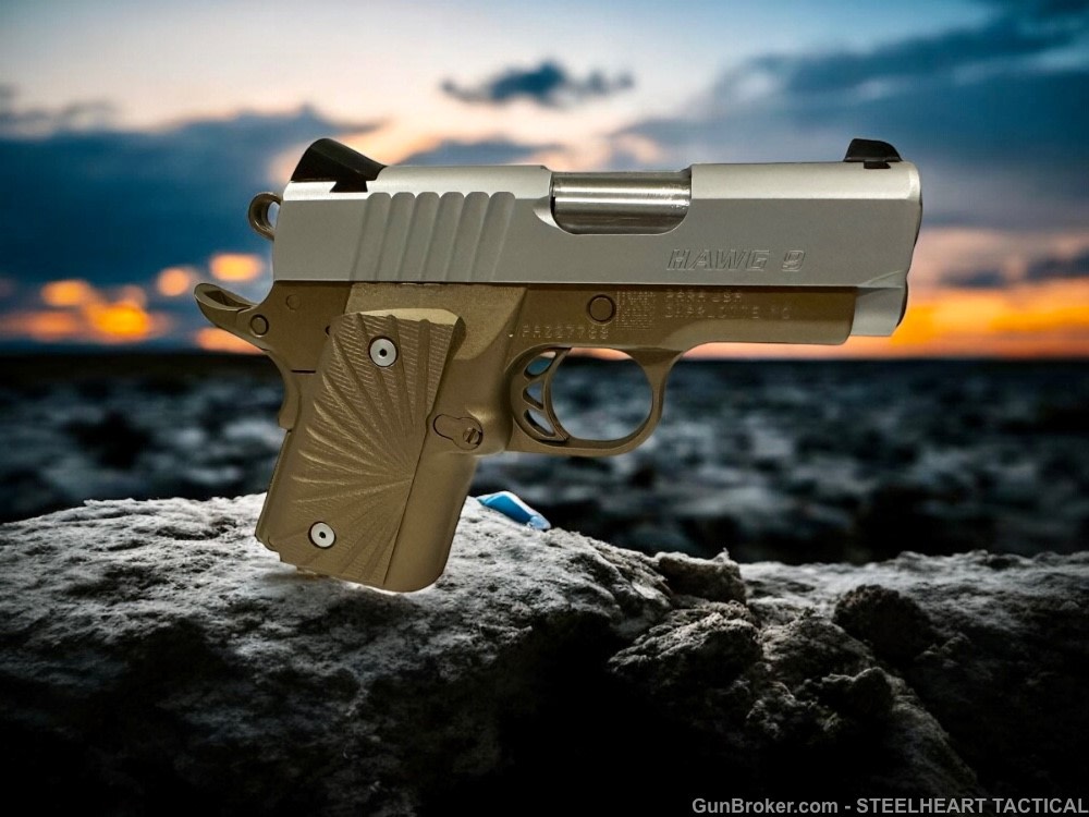Para Ordnance Warthog  P10 Hawg 9 Custom 9MM P12 P13-img-32