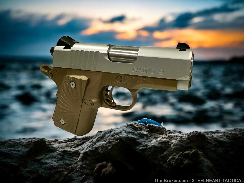 Para Ordnance Warthog  P10 Hawg 9 Custom 9MM P12 P13-img-30