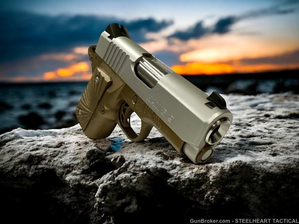 Para Ordnance Warthog  P10 Hawg 9 Custom 9MM P12 P13-img-13