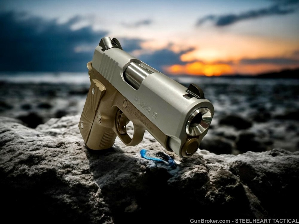 Para Ordnance Warthog  P10 Hawg 9 Custom 9MM P12 P13-img-34