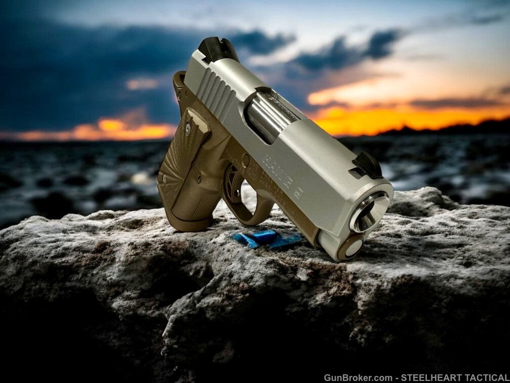Para Ordnance Warthog  P10 Hawg 9 Custom 9MM P12 P13-img-11