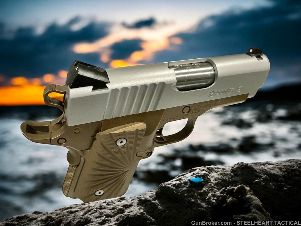 Para Ordnance Warthog  P10 Hawg 9 Custom 9MM P12 P13-img-29