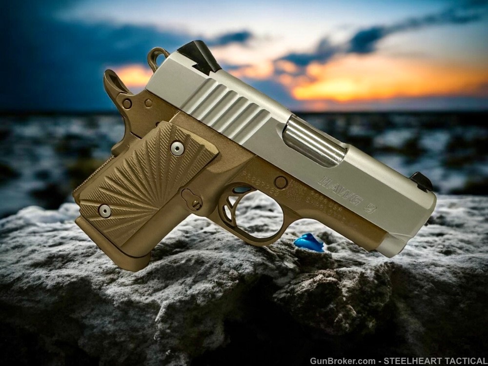 Para Ordnance Warthog  P10 Hawg 9 Custom 9MM P12 P13-img-6