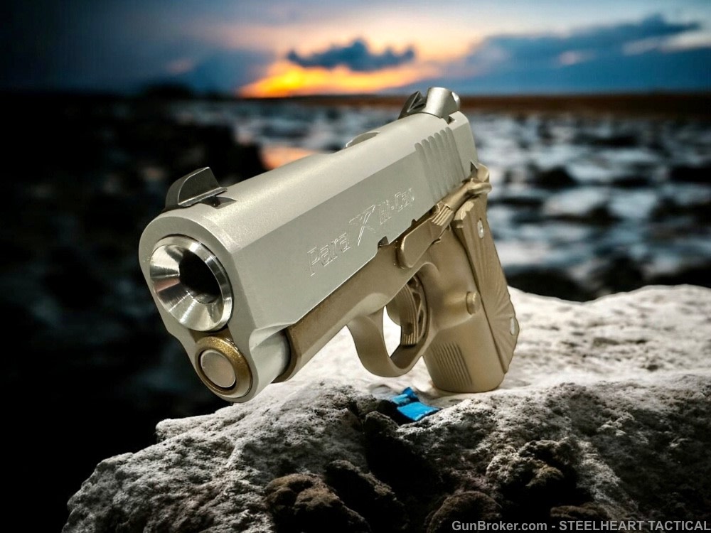 Para Ordnance Warthog  P10 Hawg 9 Custom 9MM P12 P13-img-45
