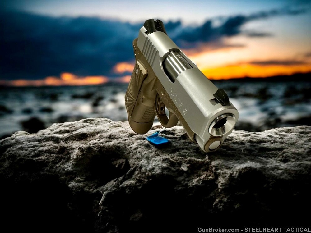 Para Ordnance Warthog  P10 Hawg 9 Custom 9MM P12 P13-img-21