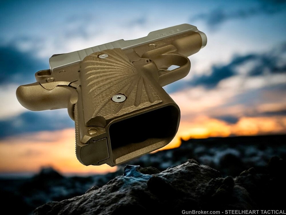 Para Ordnance Warthog  P10 Hawg 9 Custom 9MM P12 P13-img-25