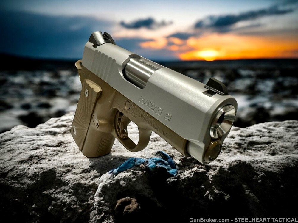 Para Ordnance Warthog  P10 Hawg 9 Custom 9MM P12 P13-img-33