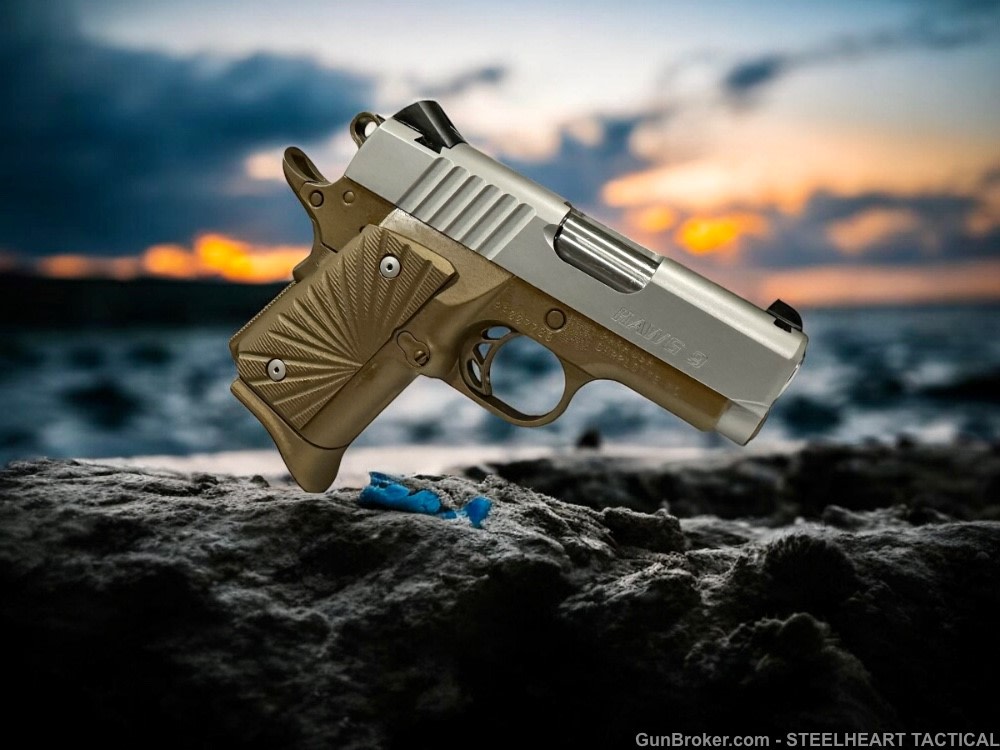 Para Ordnance Warthog  P10 Hawg 9 Custom 9MM P12 P13-img-19