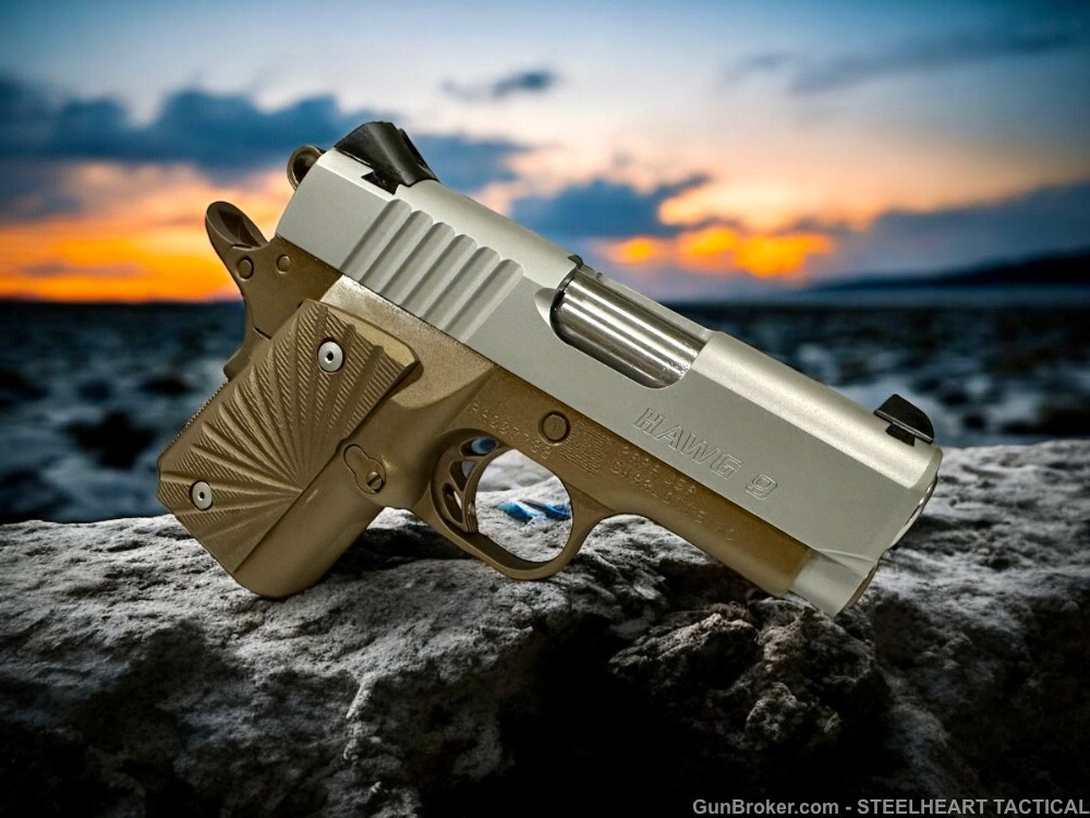 Para Ordnance Warthog  P10 Hawg 9 Custom 9MM P12 P13-img-12