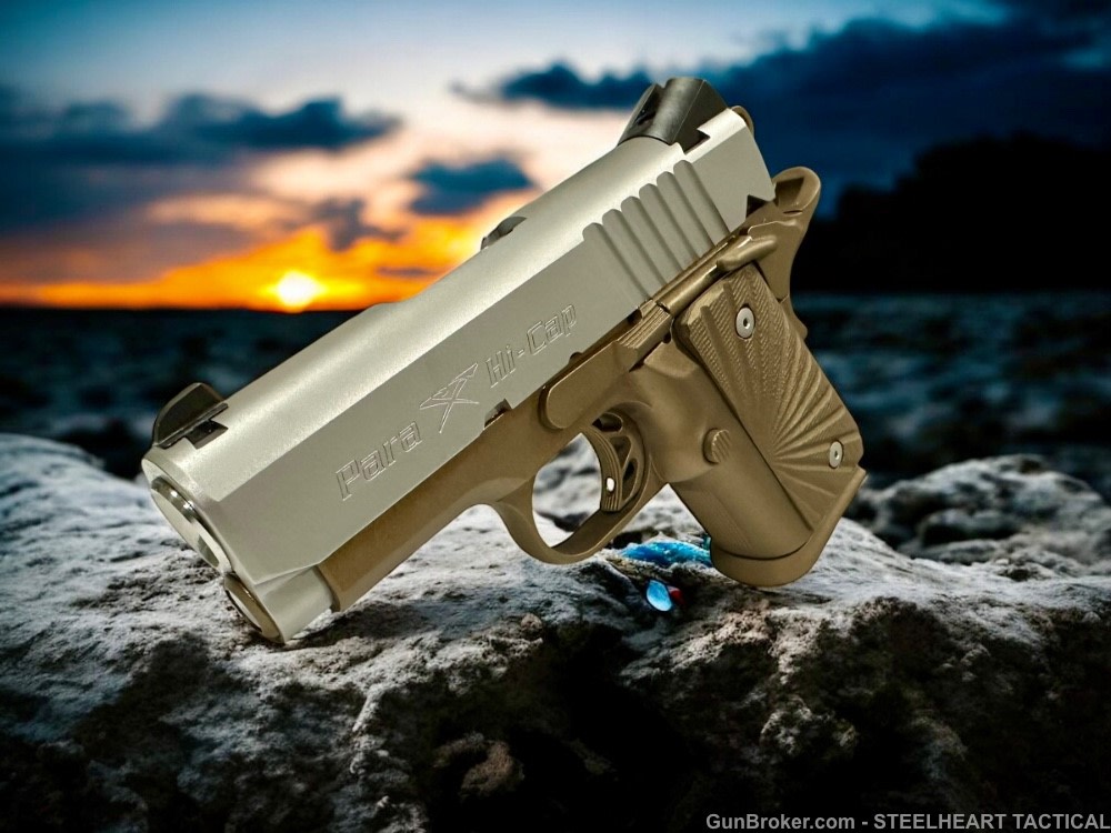 Para Ordnance Warthog  P10 Hawg 9 Custom 9MM P12 P13-img-4