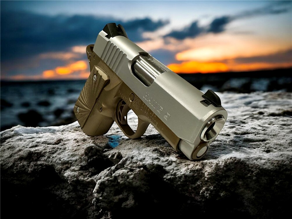 Para Ordnance Warthog  P10 Hawg 9 Custom 9MM P12 P13-img-1