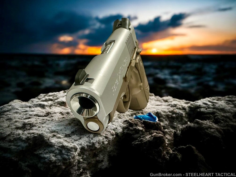Para Ordnance Warthog  P10 Hawg 9 Custom 9MM P12 P13-img-18
