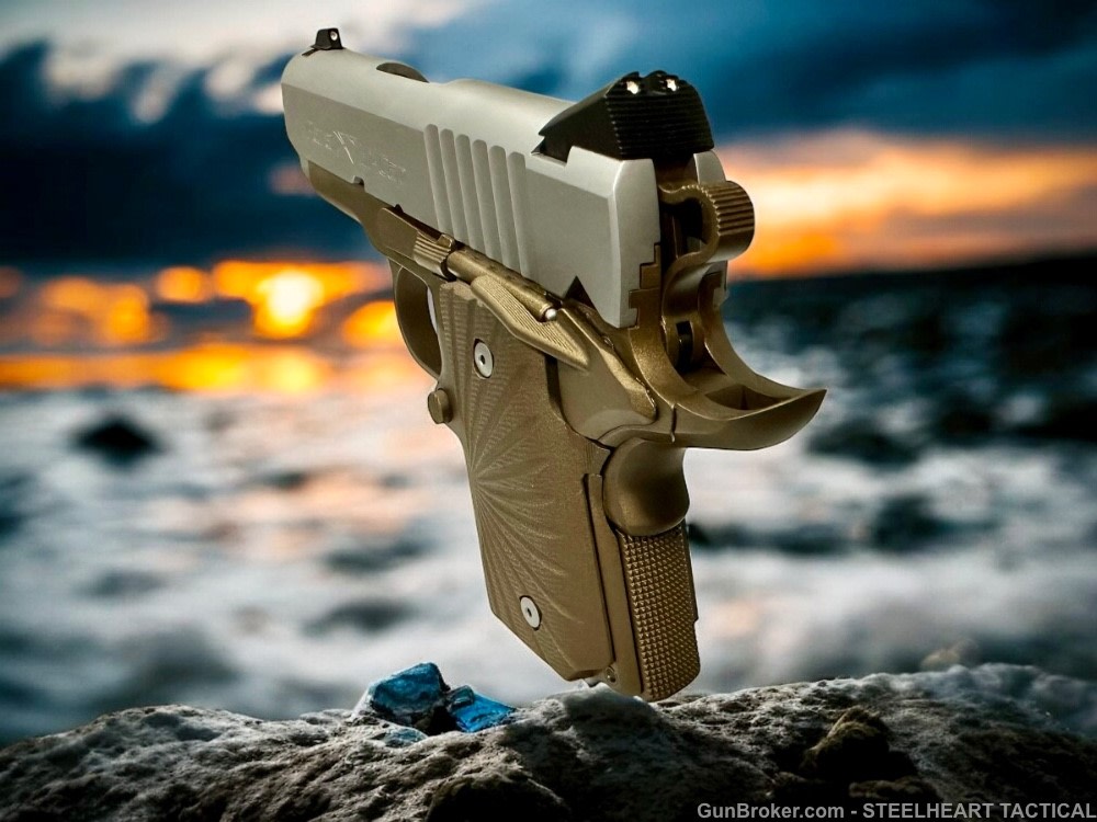 Para Ordnance Warthog  P10 Hawg 9 Custom 9MM P12 P13-img-37