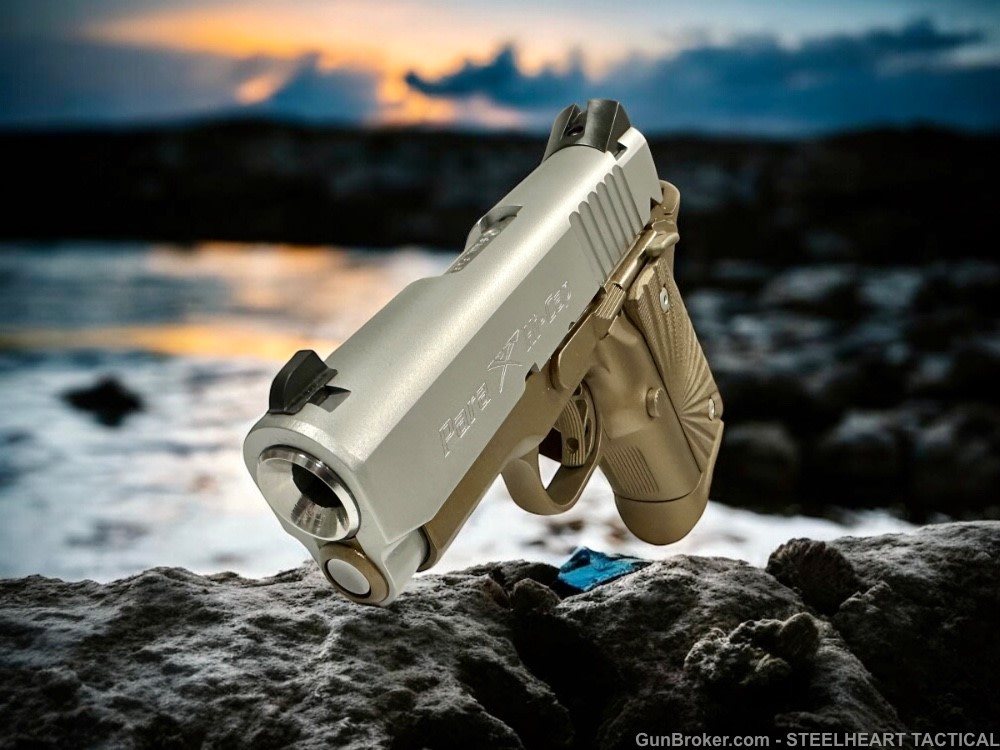 Para Ordnance Warthog  P10 Hawg 9 Custom 9MM P12 P13-img-24