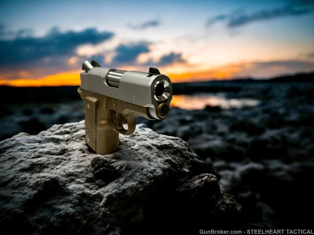Para Ordnance Warthog  P10 Hawg 9 Custom 9MM P12 P13-img-28