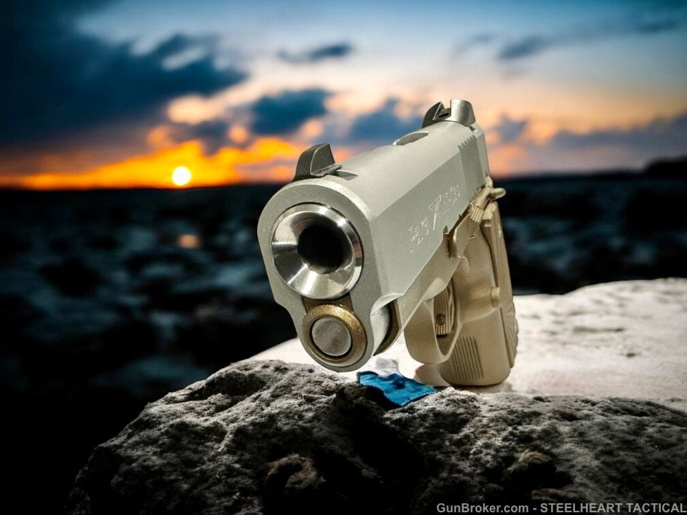 Para Ordnance Warthog  P10 Hawg 9 Custom 9MM P12 P13-img-42