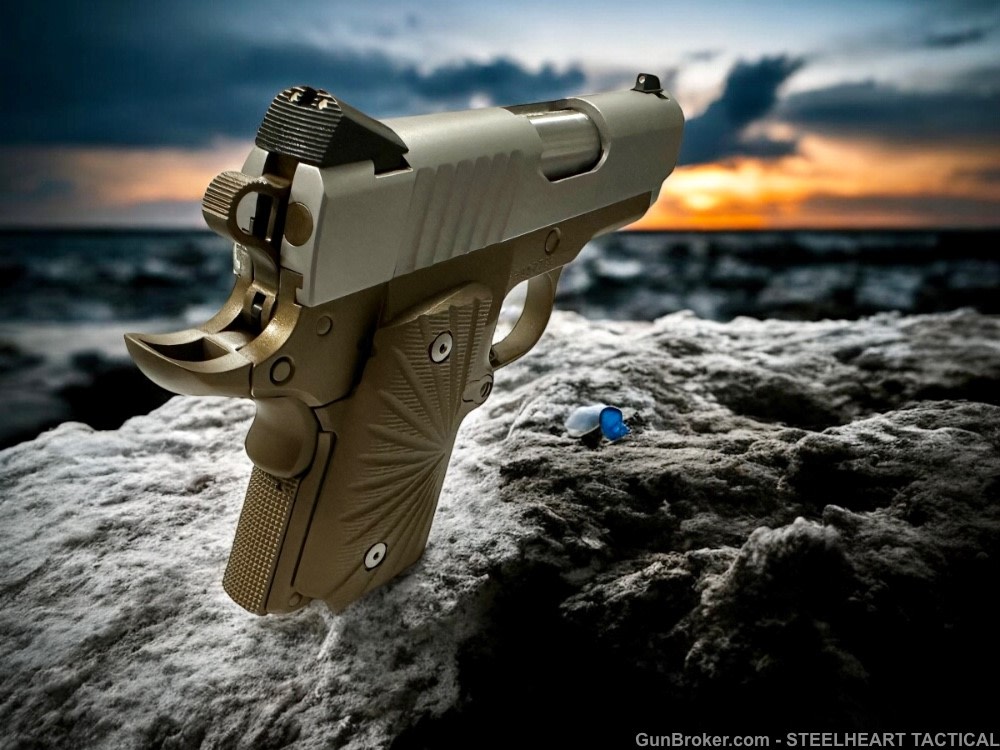 Para Ordnance Warthog  P10 Hawg 9 Custom 9MM P12 P13-img-36