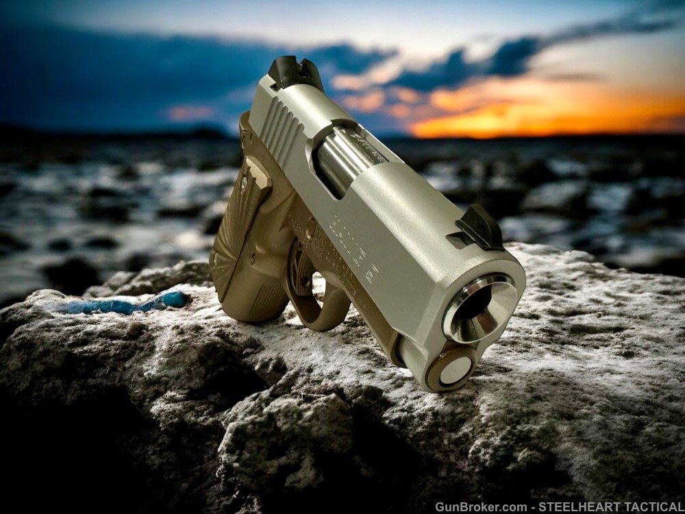Para Ordnance Warthog  P10 Hawg 9 Custom 9MM P12 P13-img-2