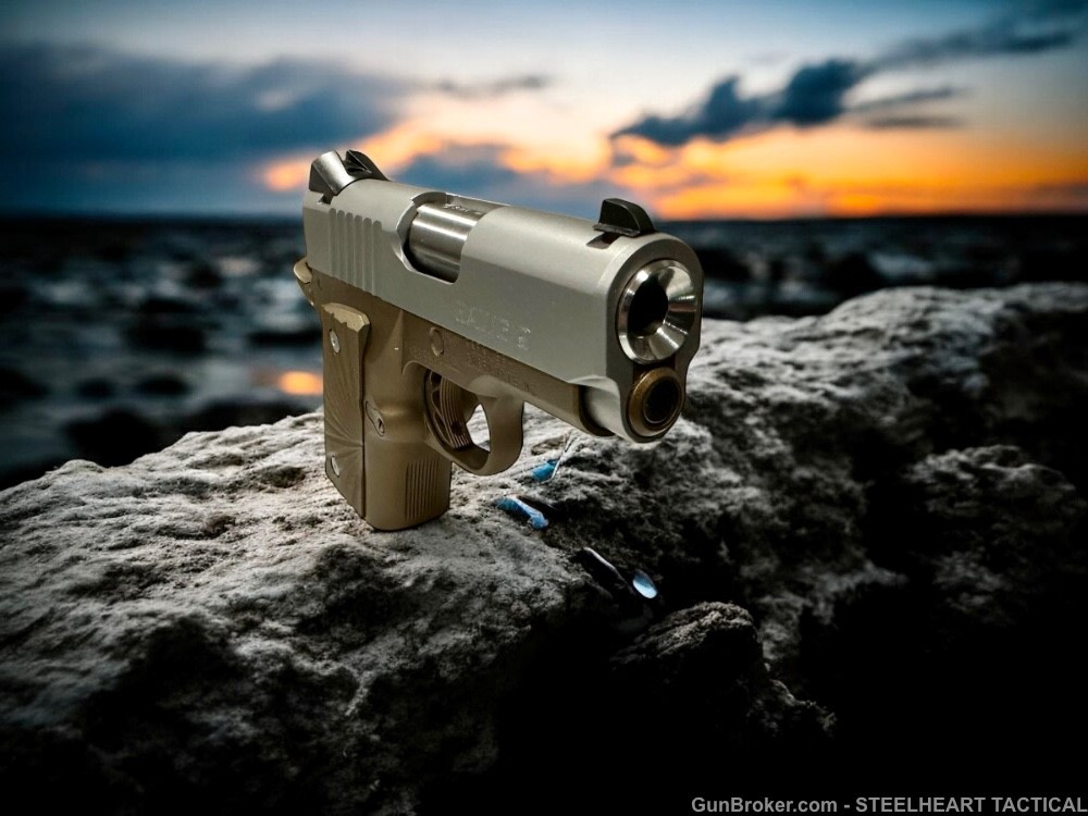 Para Ordnance Warthog  P10 Hawg 9 Custom 9MM P12 P13-img-38