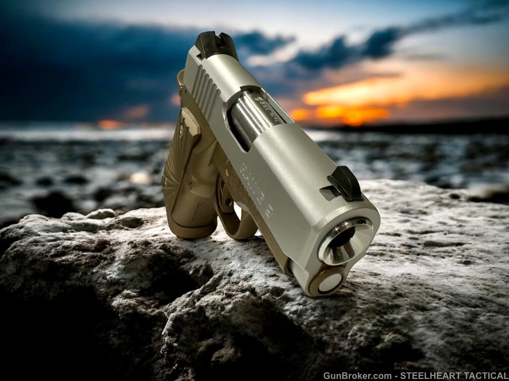 Para Ordnance Warthog  P10 Hawg 9 Custom 9MM P12 P13-img-9