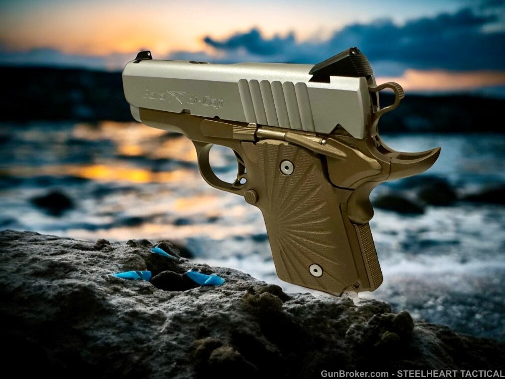 Para Ordnance Warthog  P10 Hawg 9 Custom 9MM P12 P13-img-41