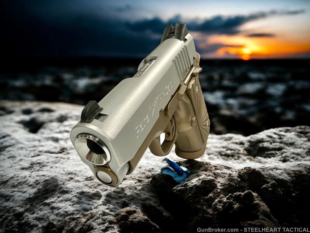 Para Ordnance Warthog  P10 Hawg 9 Custom 9MM P12 P13-img-8