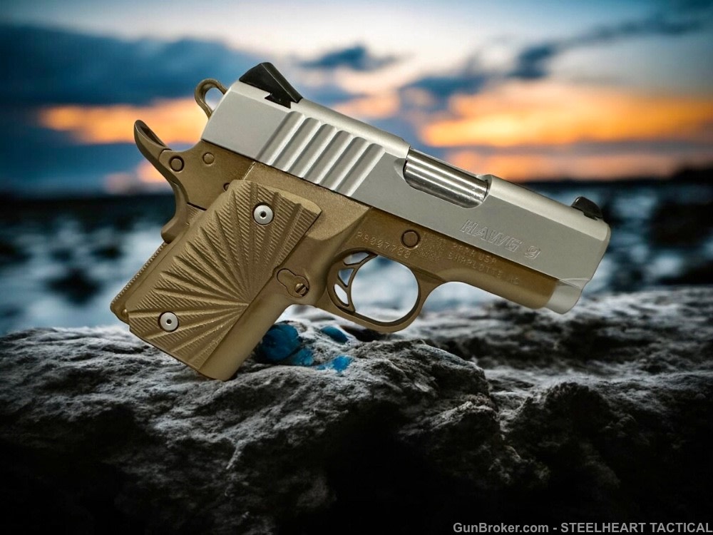 Para Ordnance Warthog  P10 Hawg 9 Custom 9MM P12 P13-img-14