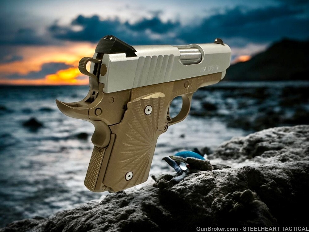 Para Ordnance Warthog  P10 Hawg 9 Custom 9MM P12 P13-img-27