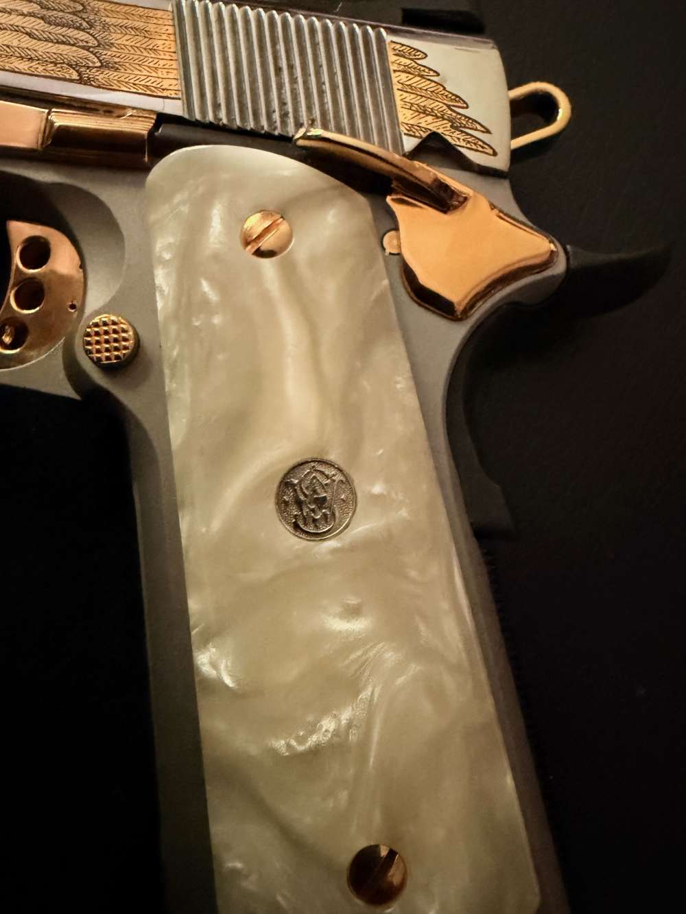 S&W Model 1911 Special Edition in .45ACP-img-4