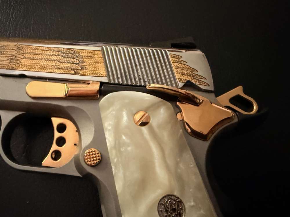 S&W Model 1911 Special Edition in .45ACP-img-3