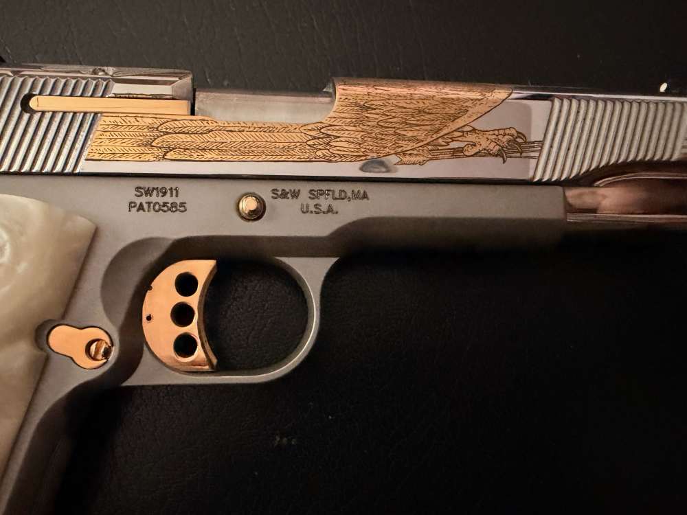 S&W Model 1911 Special Edition in .45ACP-img-7