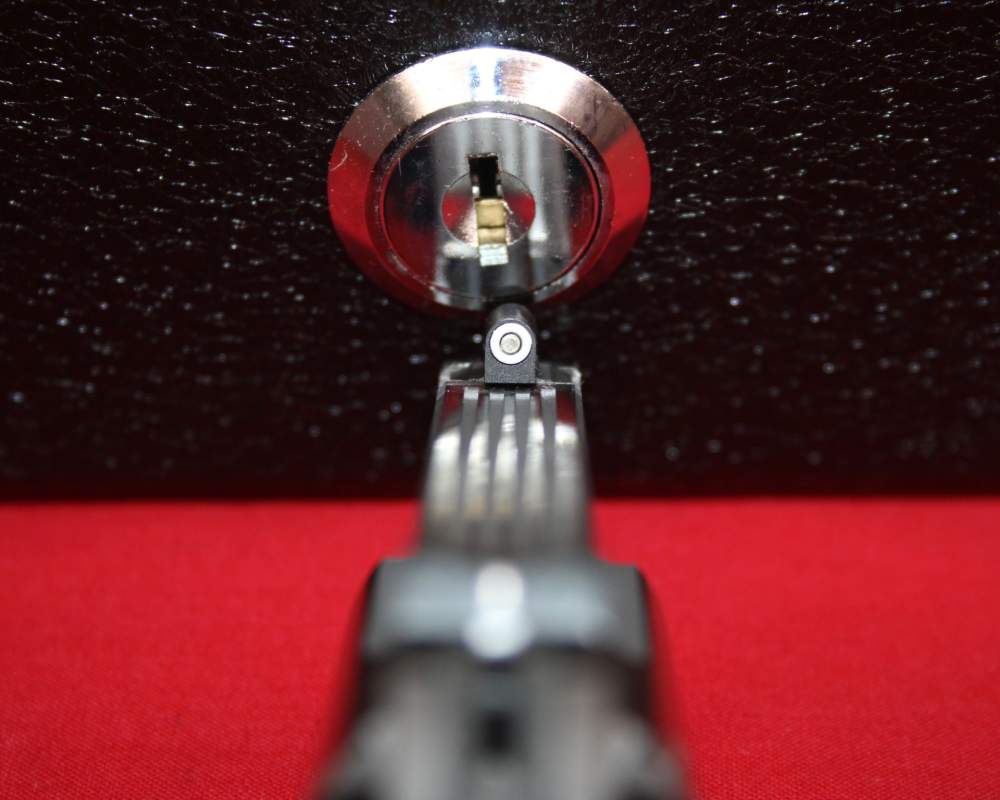 North American Arms PUG Stainless 22MAG 1" Barrel, LAYAWAY AVAILABLE!-img-7