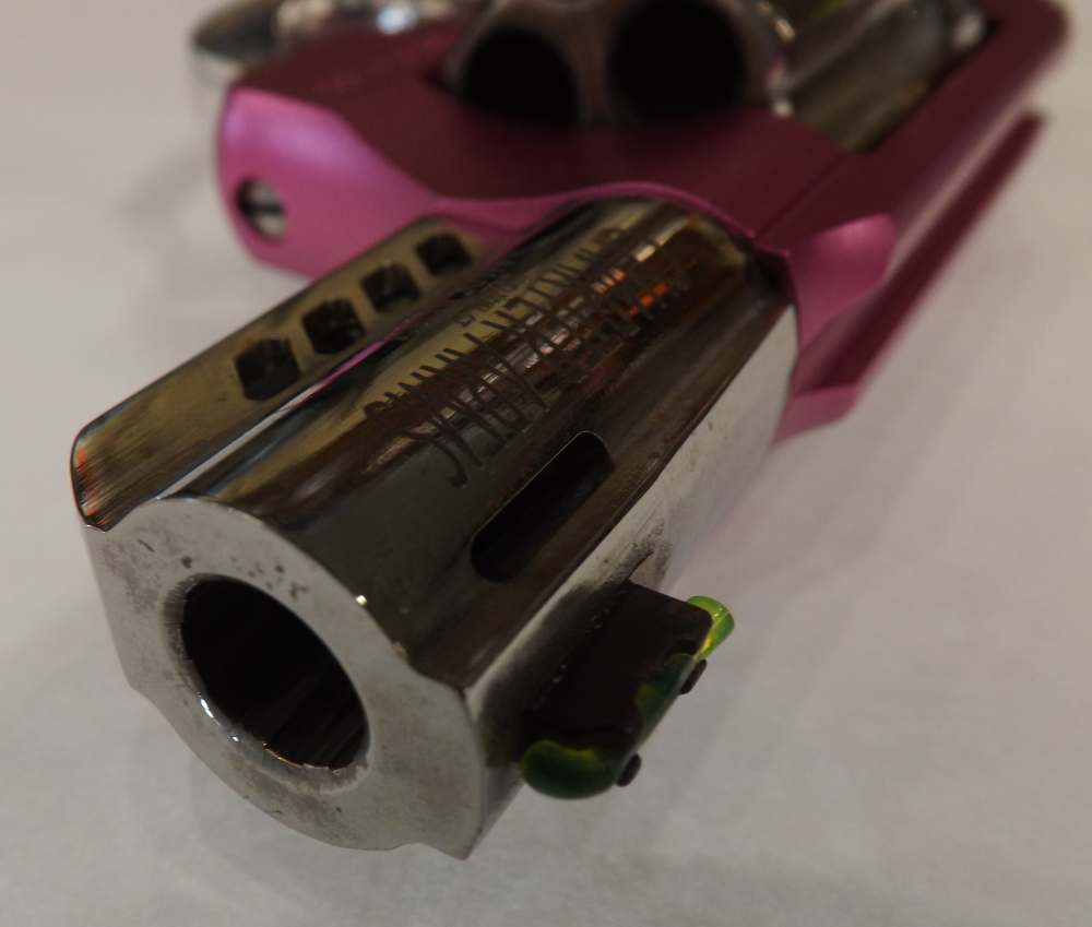 CHARTER ARMS COYOTE 380 ACP-img-9