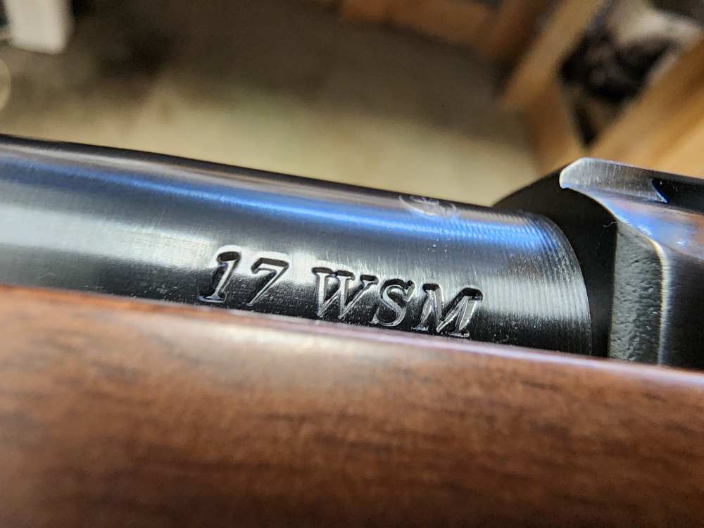 PICS! NEW RUGER M77/17 .17 WSM 20 THREADED WINCHESTER SUPER MAG BMAG M77 17-img-20